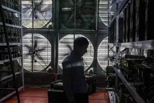 Kaspa Mining Machine - A Leap into 2025