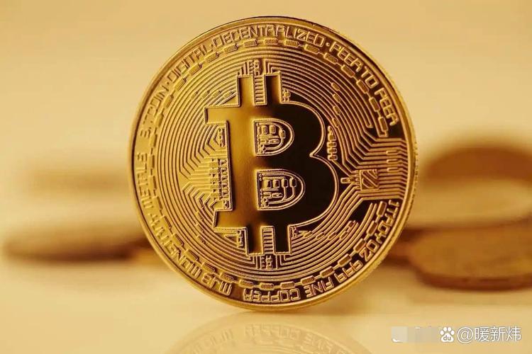 Bitcoin chart analysis highlighting profit margins in hosted mining